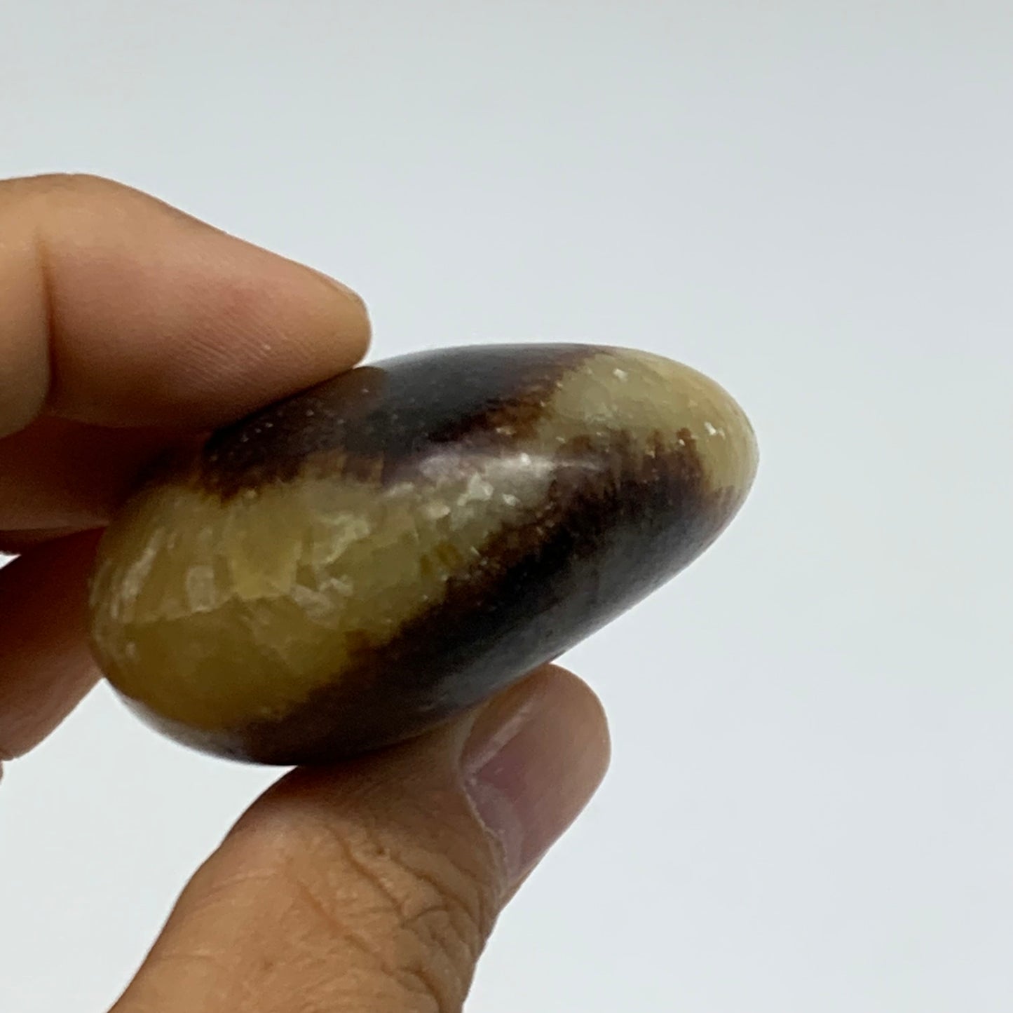 95.1g, 2.3x1.9"x1", Septarian Nodule Palm-Stone Polished Crystal, B37953