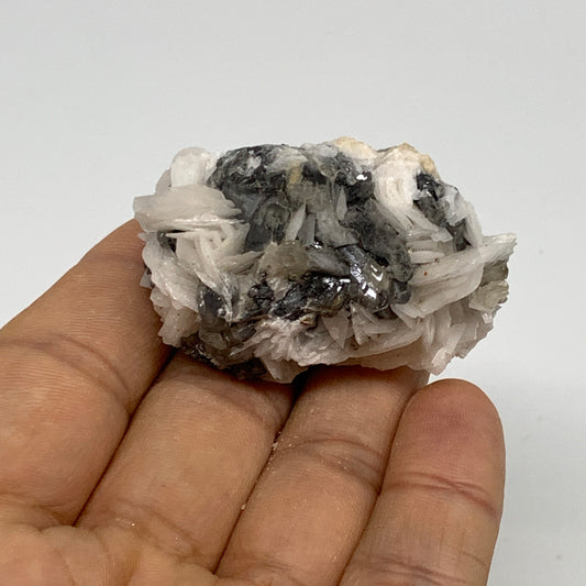 106g, 1.8"x1.2"x1.2", Cerussite on Galena Barite Quartz Mineral Specimen, B33486