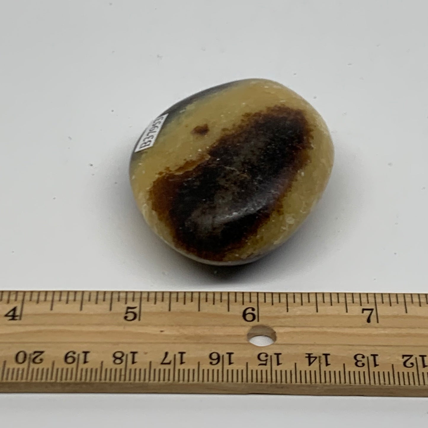 95.1g, 2.3x1.9"x1", Septarian Nodule Palm-Stone Polished Crystal, B37953