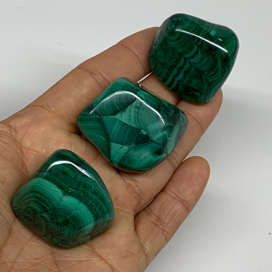 157.7g, 1.3"-1.3", 3pcs, Natural Small Malachite Tumbled Polished, B32822