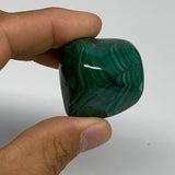 157.7g, 1.3"-1.3", 3pcs, Natural Small Malachite Tumbled Polished, B32822