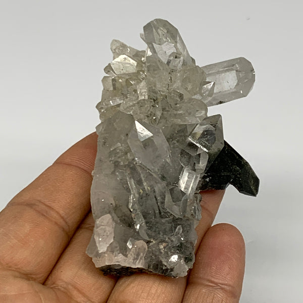 92.5g, 2.8"x1.8"x1.6", Chlorine Quartz Crystal Mineral,Specimen Terminated,B2766