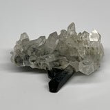 92.5g, 2.8"x1.8"x1.6", Chlorine Quartz Crystal Mineral,Specimen Terminated,B2766