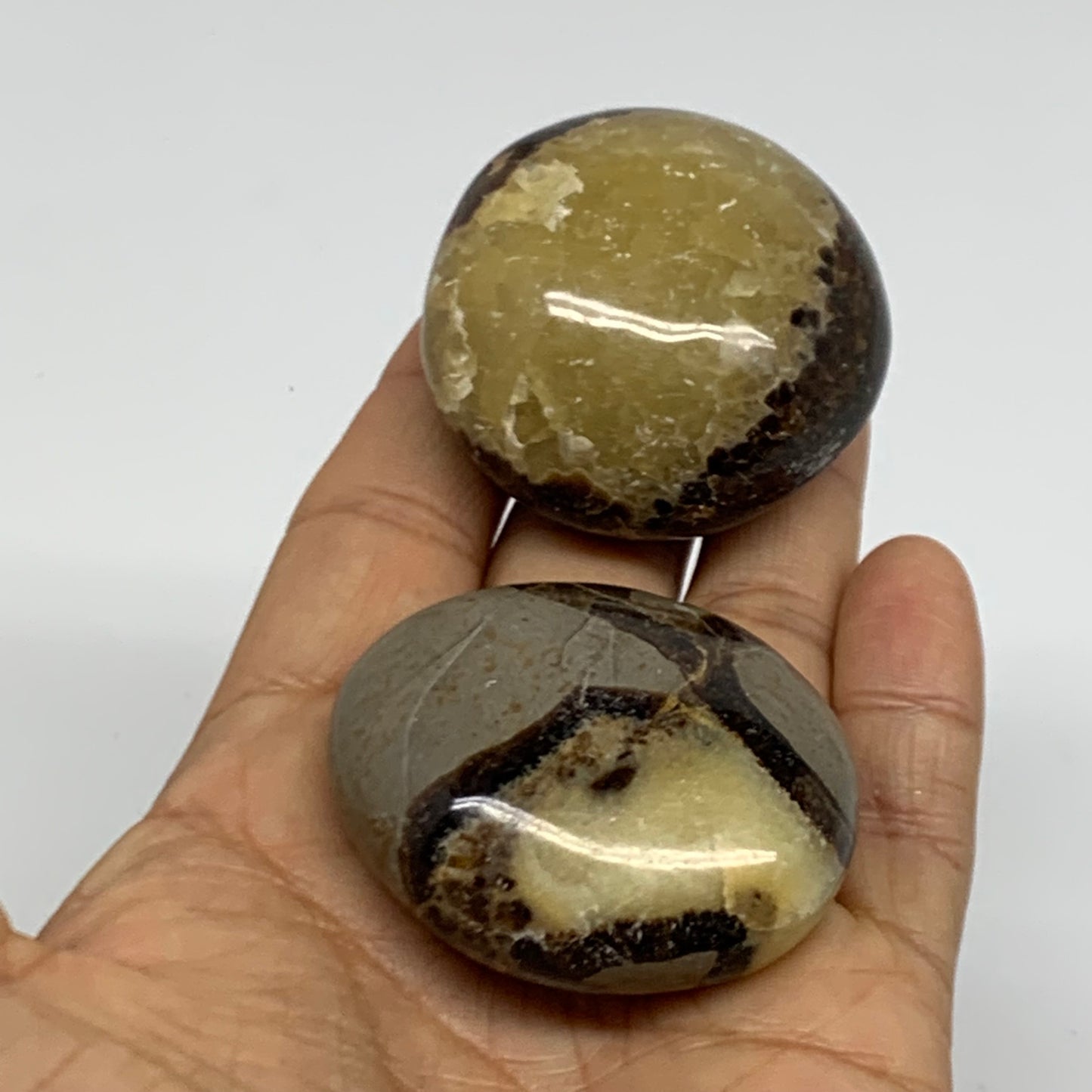 142.8g,1.8"-1.9", 2pcs, Septarian Nodule Palm-Stone Polished Crystal, B37958