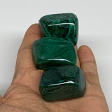 168.3g, 1.3"-1.6", 3pcs, Natural Small Malachite Tumbled Polished, B32824