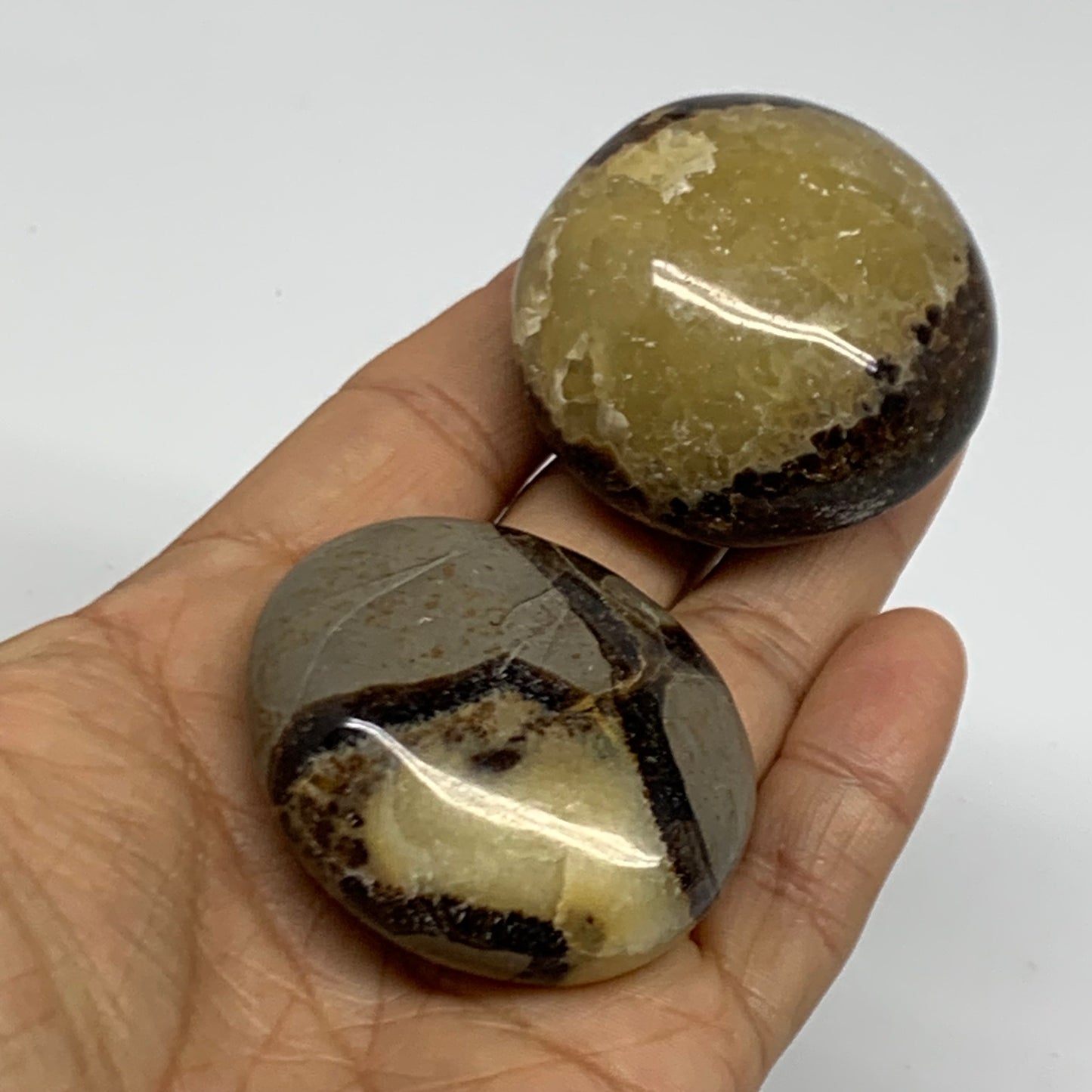 142.8g,1.8"-1.9", 2pcs, Septarian Nodule Palm-Stone Polished Crystal, B37958