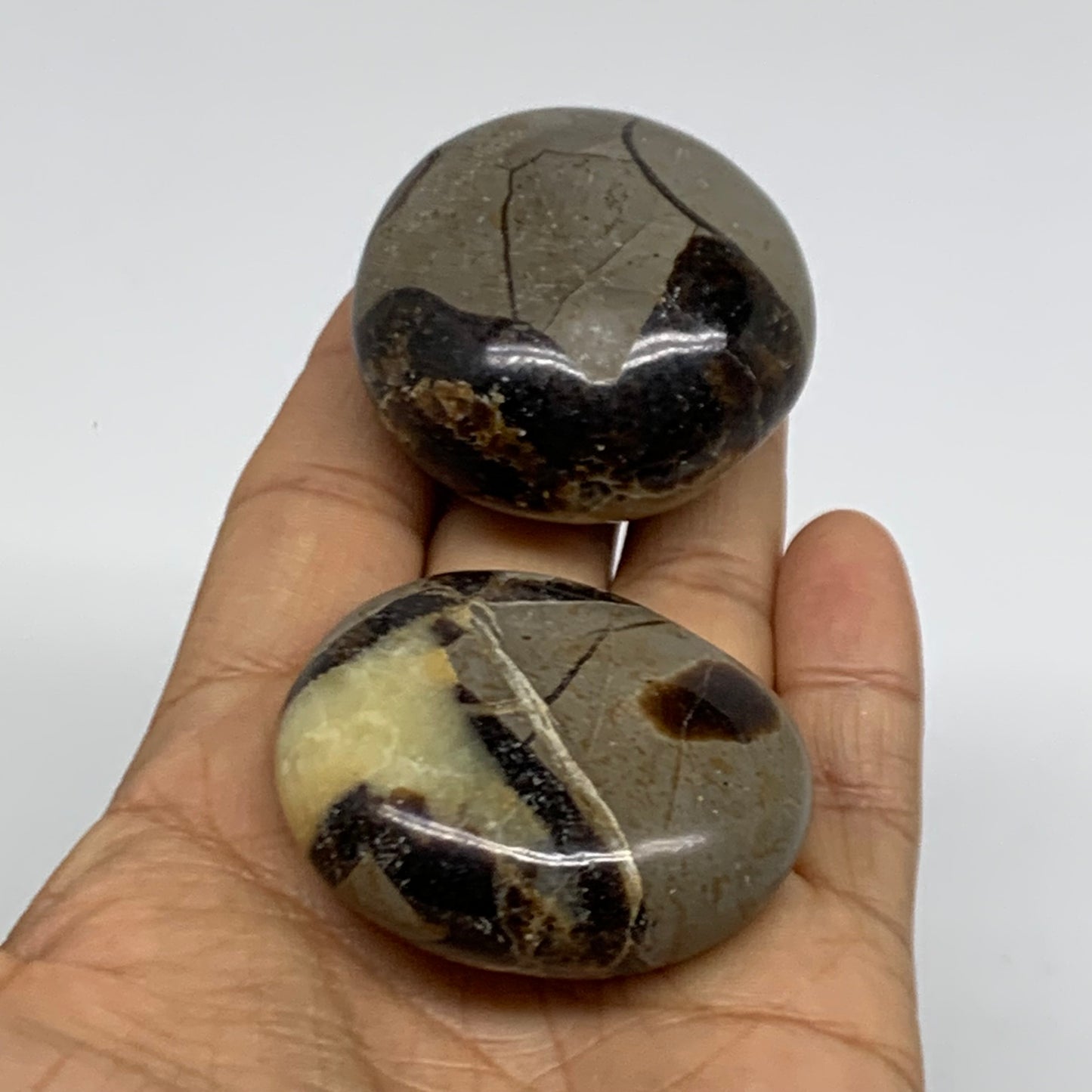 142.8g,1.8"-1.9", 2pcs, Septarian Nodule Palm-Stone Polished Crystal, B37958