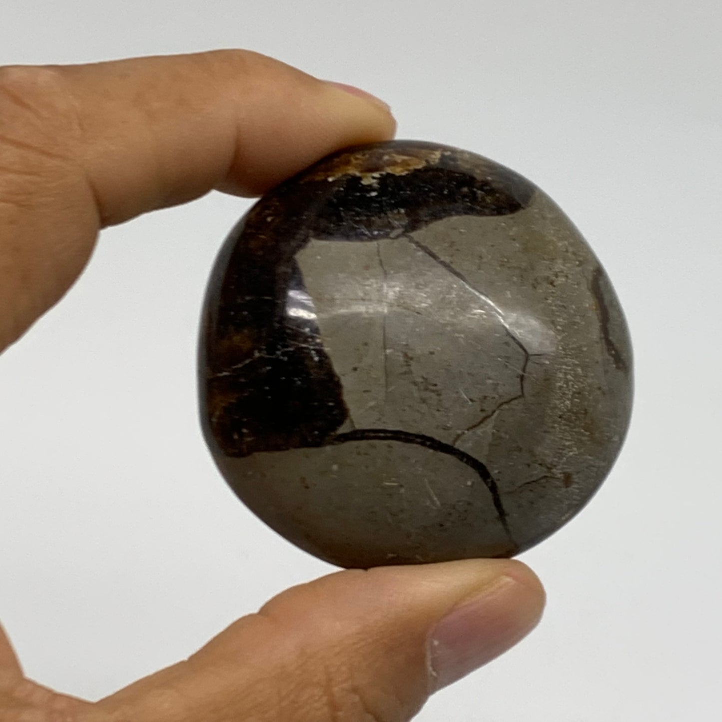 142.8g,1.8"-1.9", 2pcs, Septarian Nodule Palm-Stone Polished Crystal, B37958