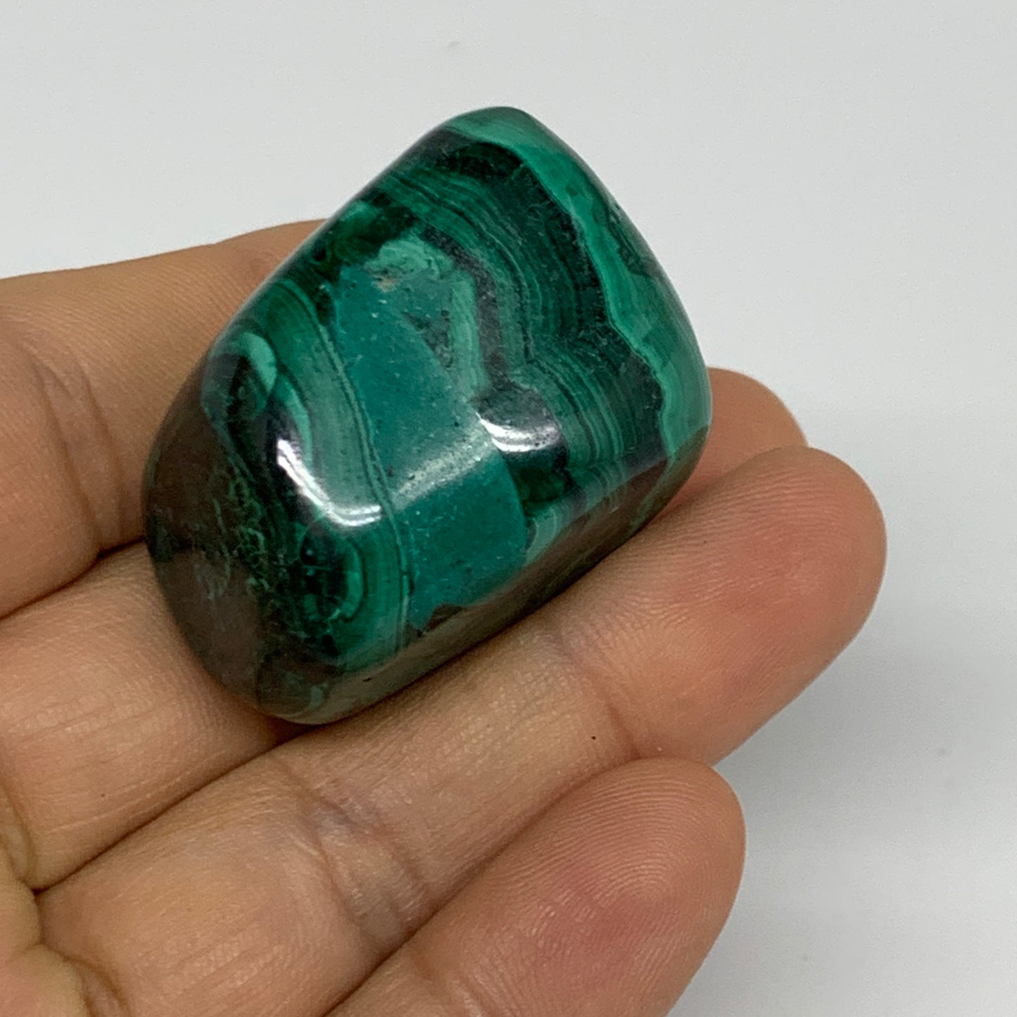 168.3g, 1.3"-1.6", 3pcs, Natural Small Malachite Tumbled Polished, B32824