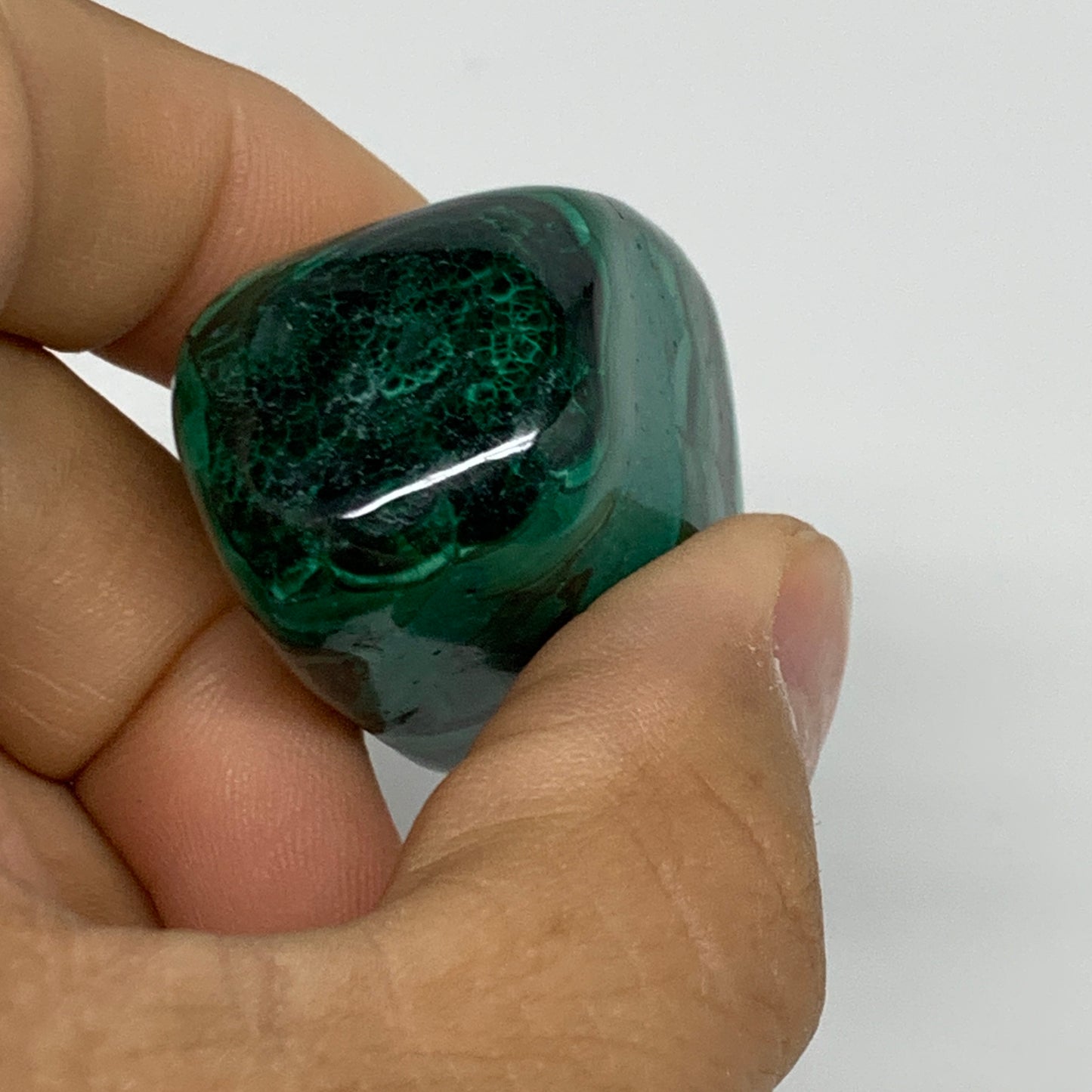 168.3g, 1.3"-1.6", 3pcs, Natural Small Malachite Tumbled Polished, B32824