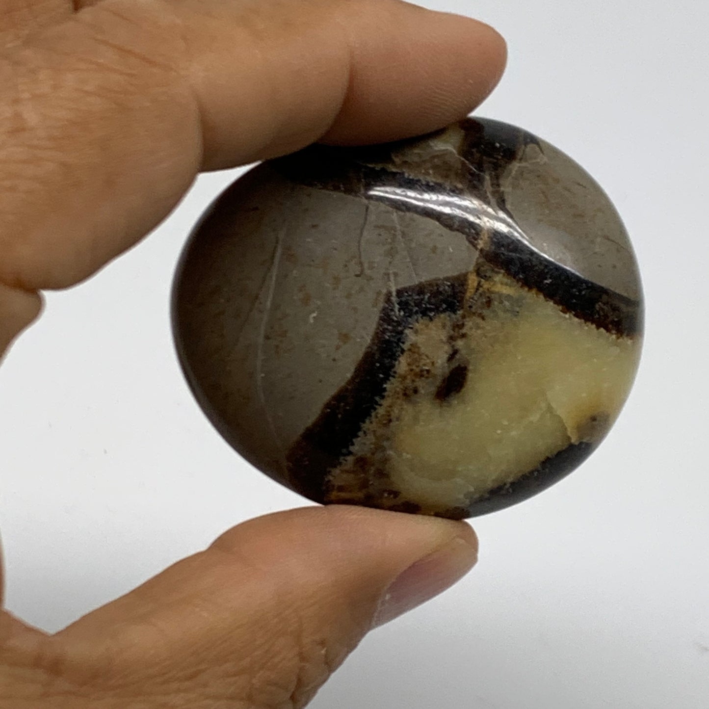 142.8g,1.8"-1.9", 2pcs, Septarian Nodule Palm-Stone Polished Crystal, B37958