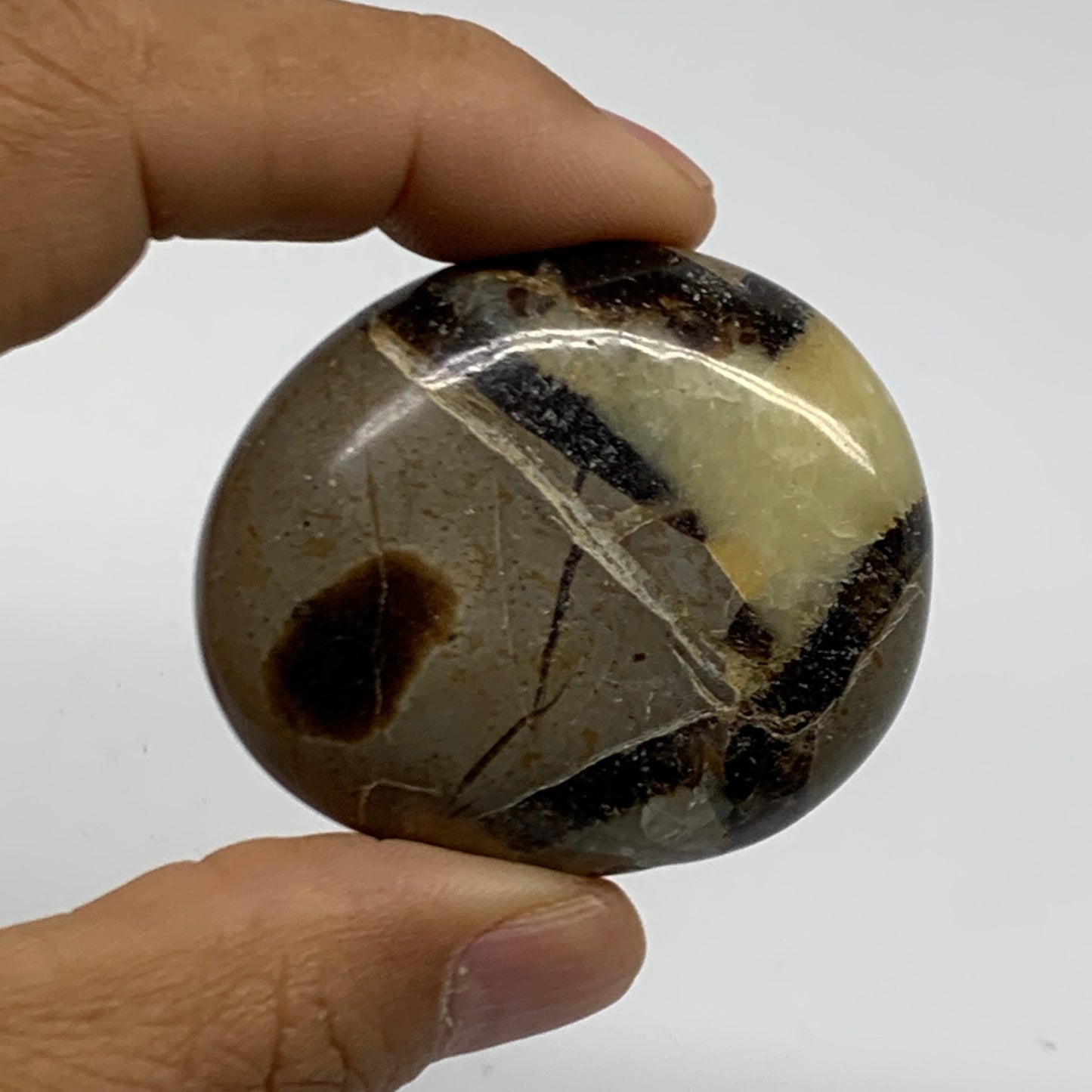 142.8g,1.8"-1.9", 2pcs, Septarian Nodule Palm-Stone Polished Crystal, B37958
