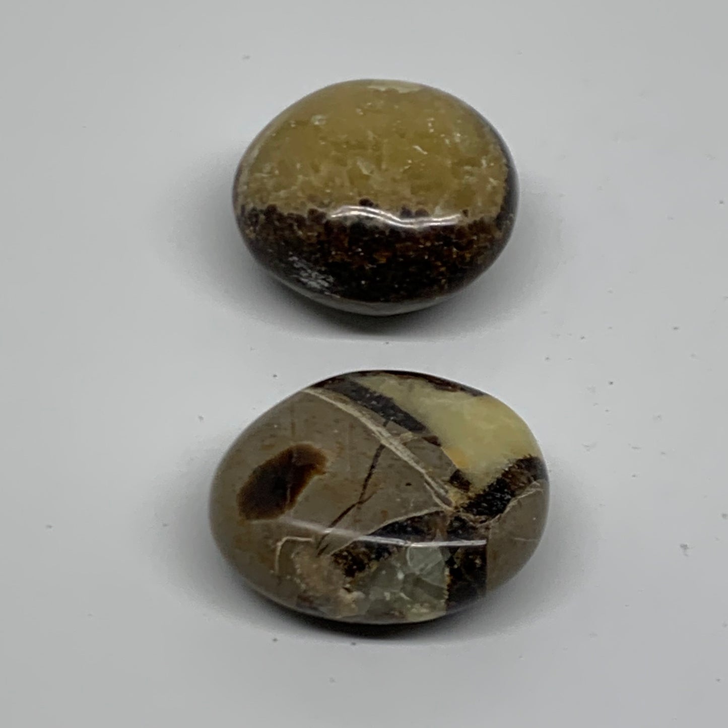 142.8g,1.8"-1.9", 2pcs, Septarian Nodule Palm-Stone Polished Crystal, B37958