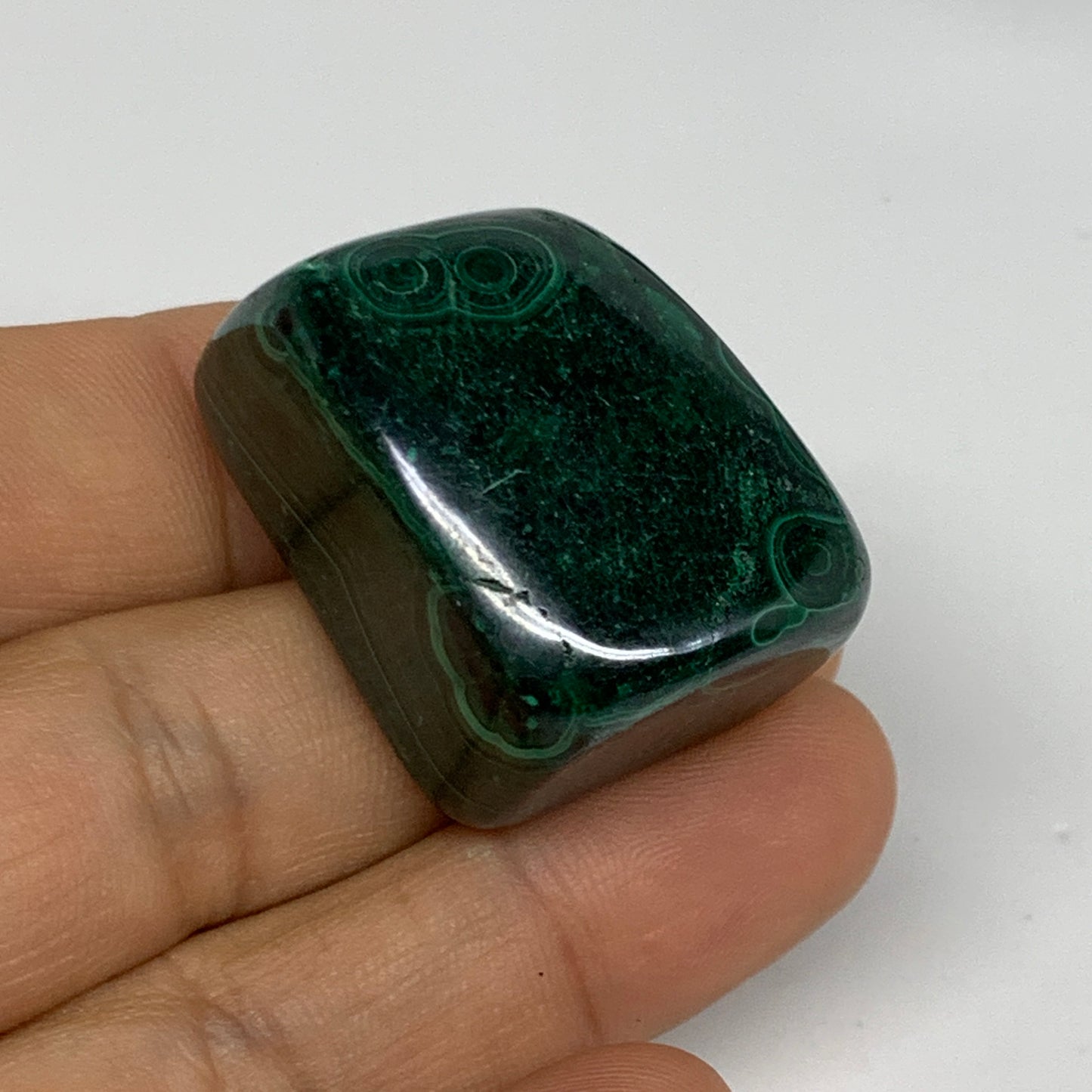 168.3g, 1.3"-1.6", 3pcs, Natural Small Malachite Tumbled Polished, B32824