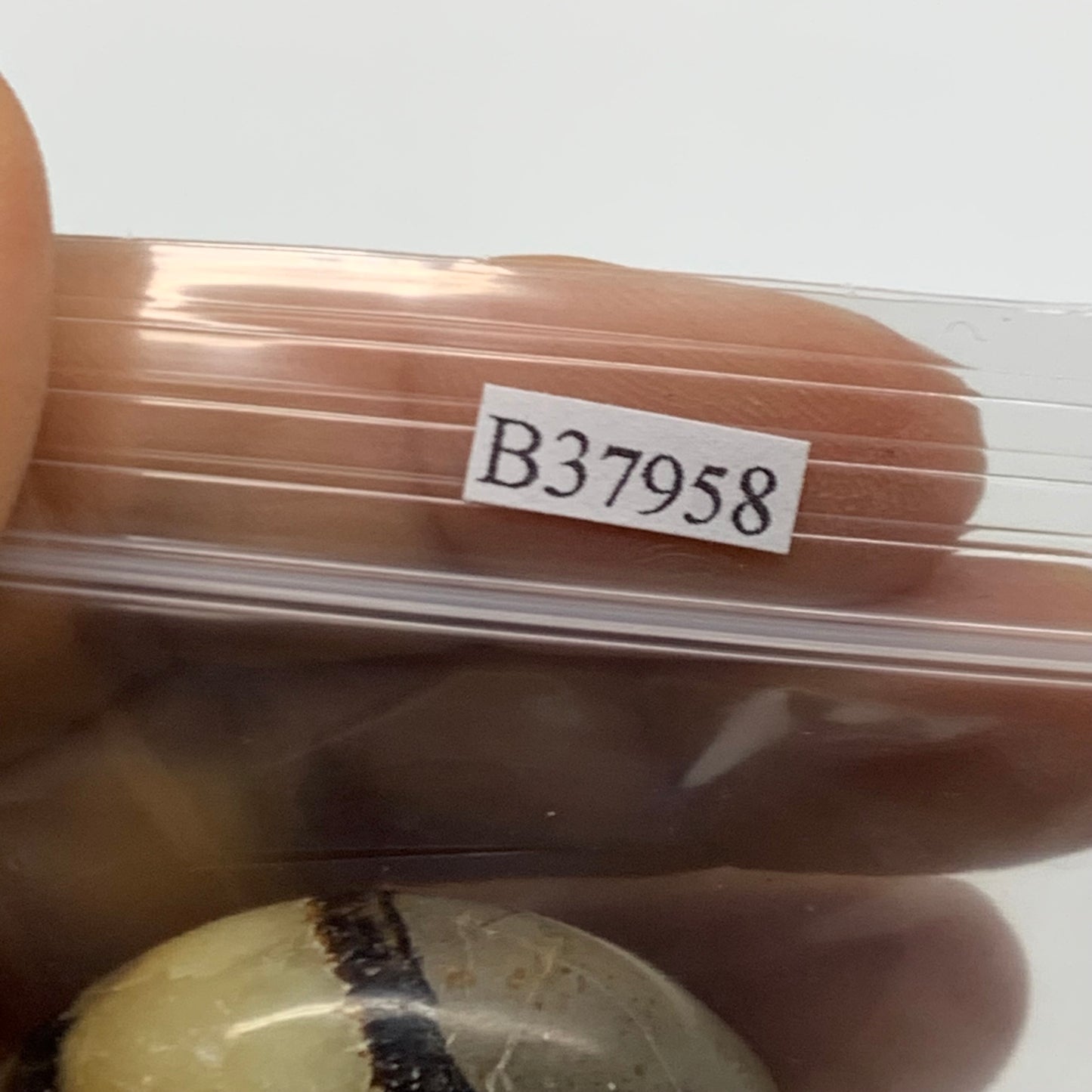 142.8g,1.8"-1.9", 2pcs, Septarian Nodule Palm-Stone Polished Crystal, B37958