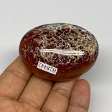 94.7g, 2.3"x1.7"x1", Red Carnelian Palm-Stone Gem Crystal Polished, B28442