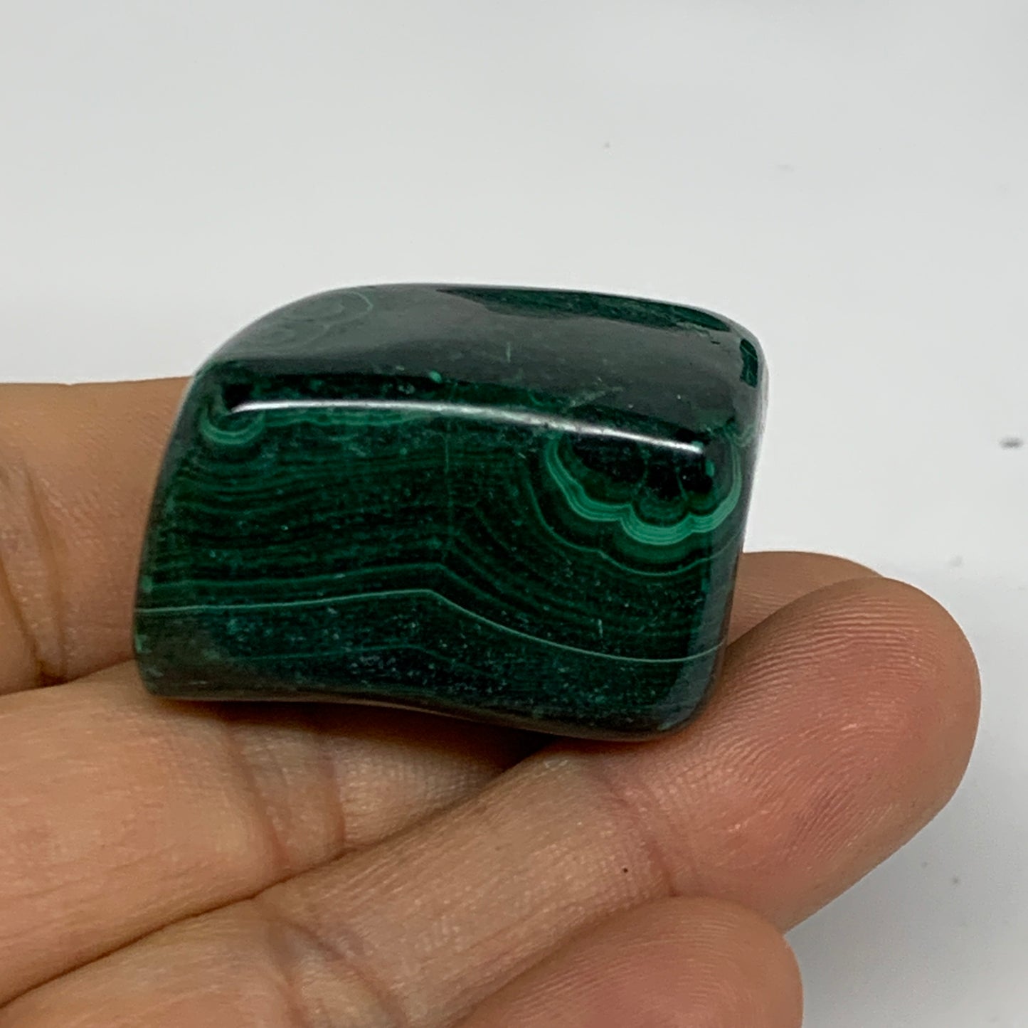 168.3g, 1.3"-1.6", 3pcs, Natural Small Malachite Tumbled Polished, B32824