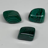 168.3g, 1.3"-1.6", 3pcs, Natural Small Malachite Tumbled Polished, B32824