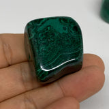 155.8g, 1"-1.7", 3pcs, Natural Small Malachite Tumbled Polished, B32825