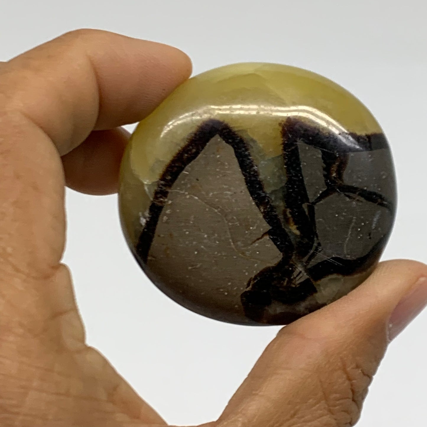 145g,1.9"-1.9", 2pcs, Septarian Nodule Palm-Stone Polished Crystal, B37960