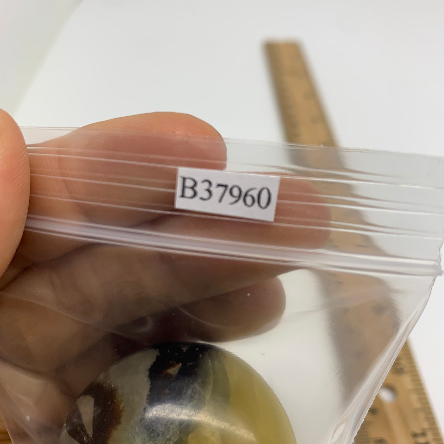 145g,1.9"-1.9", 2pcs, Septarian Nodule Palm-Stone Polished Crystal, B37960