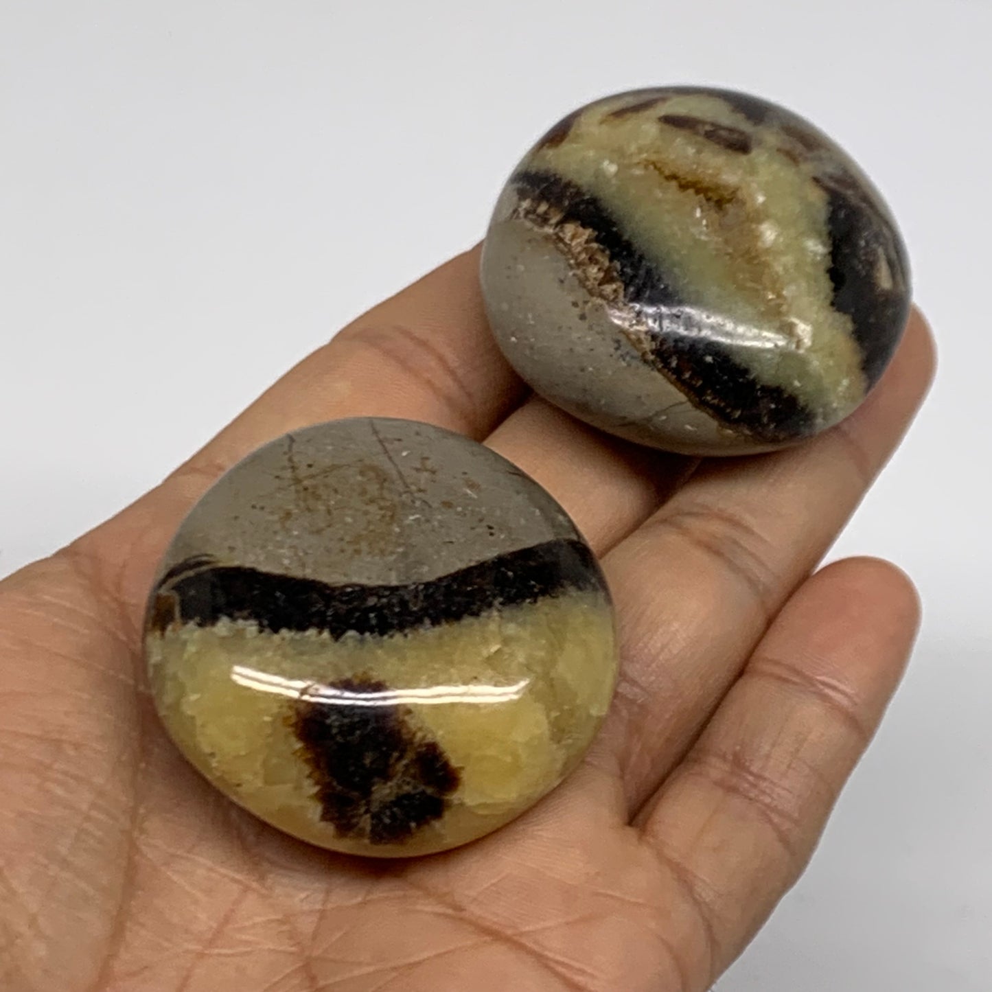 125.6g,1.7"-1.8", 2pcs, Septarian Nodule Palm-Stone Polished Crystal, B37961