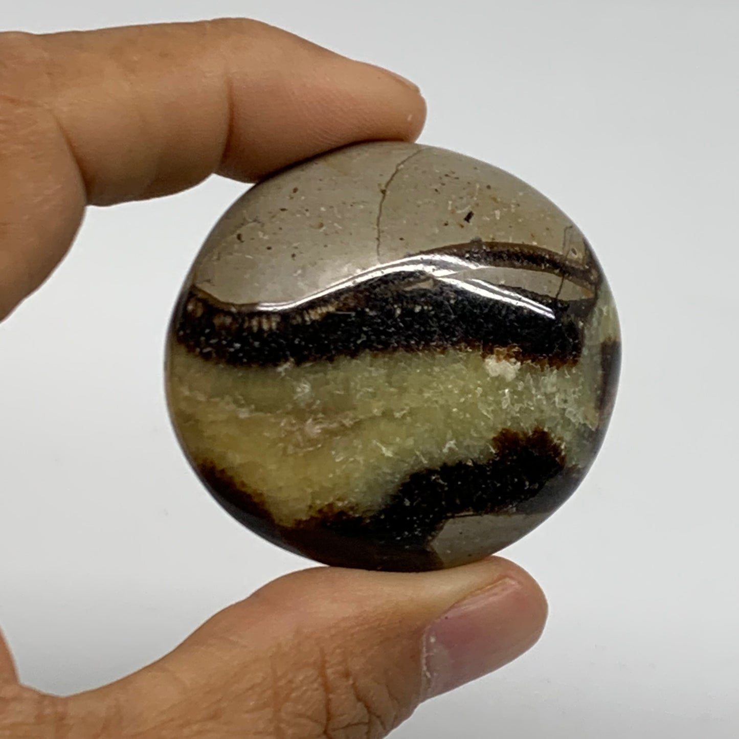125.6g,1.7"-1.8", 2pcs, Septarian Nodule Palm-Stone Polished Crystal, B37961