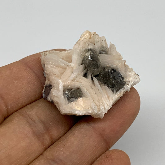 51.5g, 1.4"x1.5"x0.8", Cerussite Galena On Barite Mineral Specimen, B33496