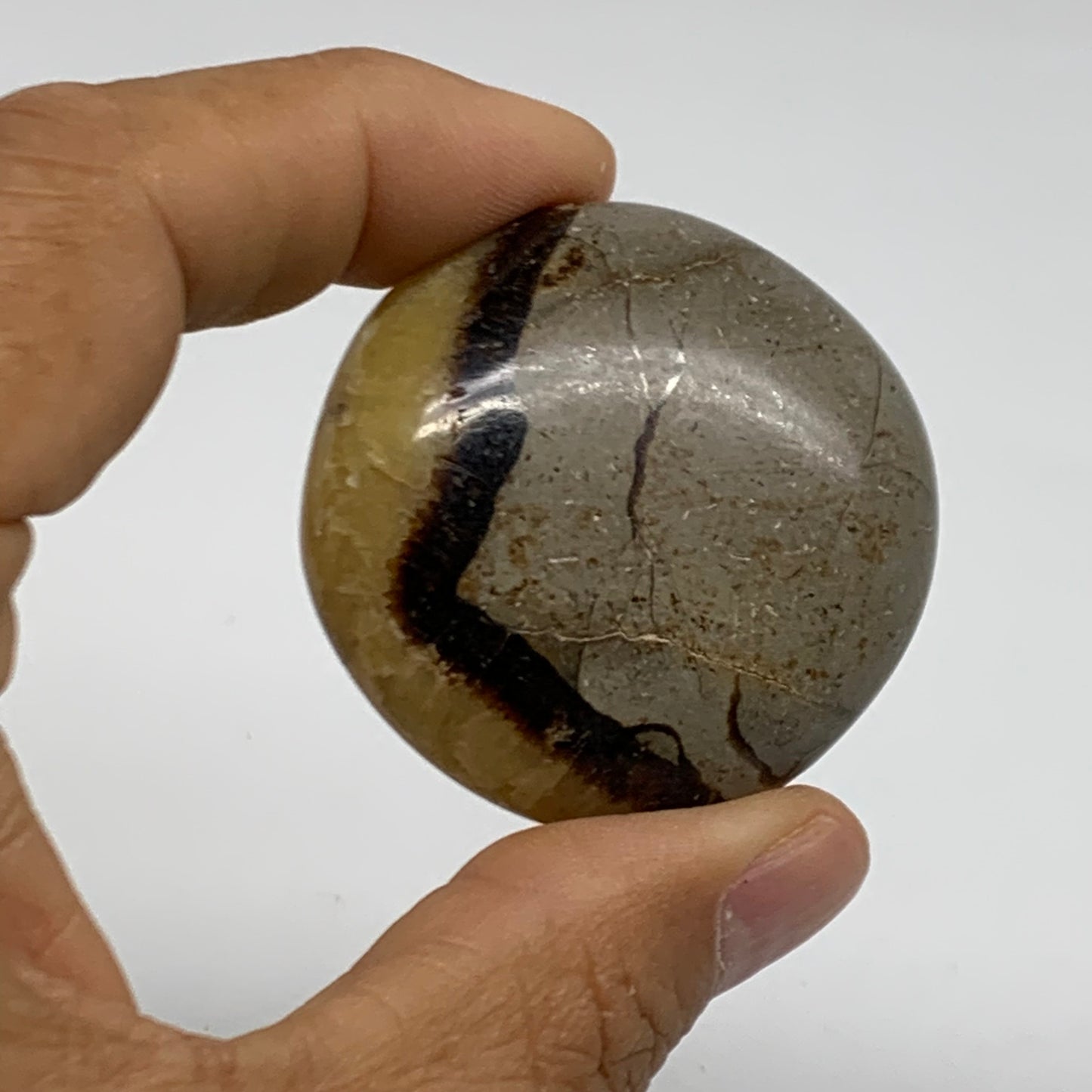 125.6g,1.7"-1.8", 2pcs, Septarian Nodule Palm-Stone Polished Crystal, B37961