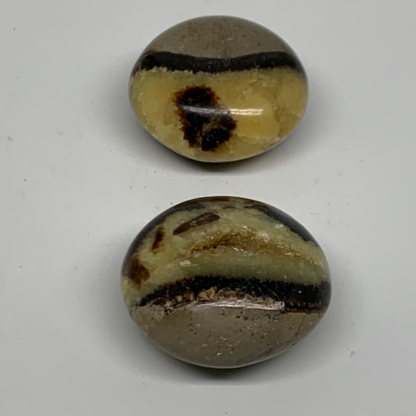 125.6g,1.7"-1.8", 2pcs, Septarian Nodule Palm-Stone Polished Crystal, B37961