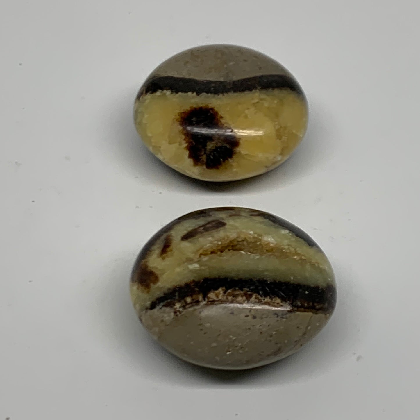 125.6g,1.7"-1.8", 2pcs, Septarian Nodule Palm-Stone Polished Crystal, B37961