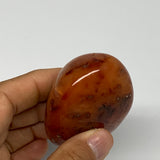 126.9g, 2.3"x1.9"x1.3", Red Carnelian Palm-Stone Gem Crystal Polished, B28445
