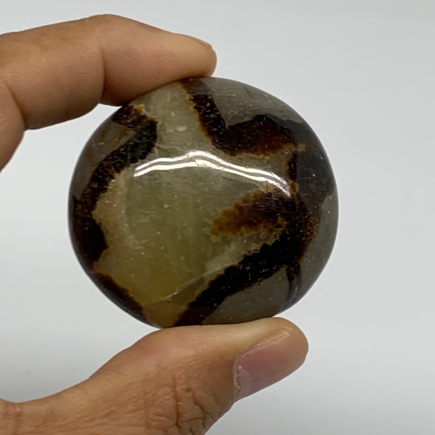 155.5g,1.8"-1.8", 2pcs, Septarian Nodule Palm-Stone Polished Crystal, B37962