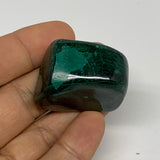 145.9g, 1.3"-1.6", 3pcs, Natural Small Malachite Tumbled Polished, B32827