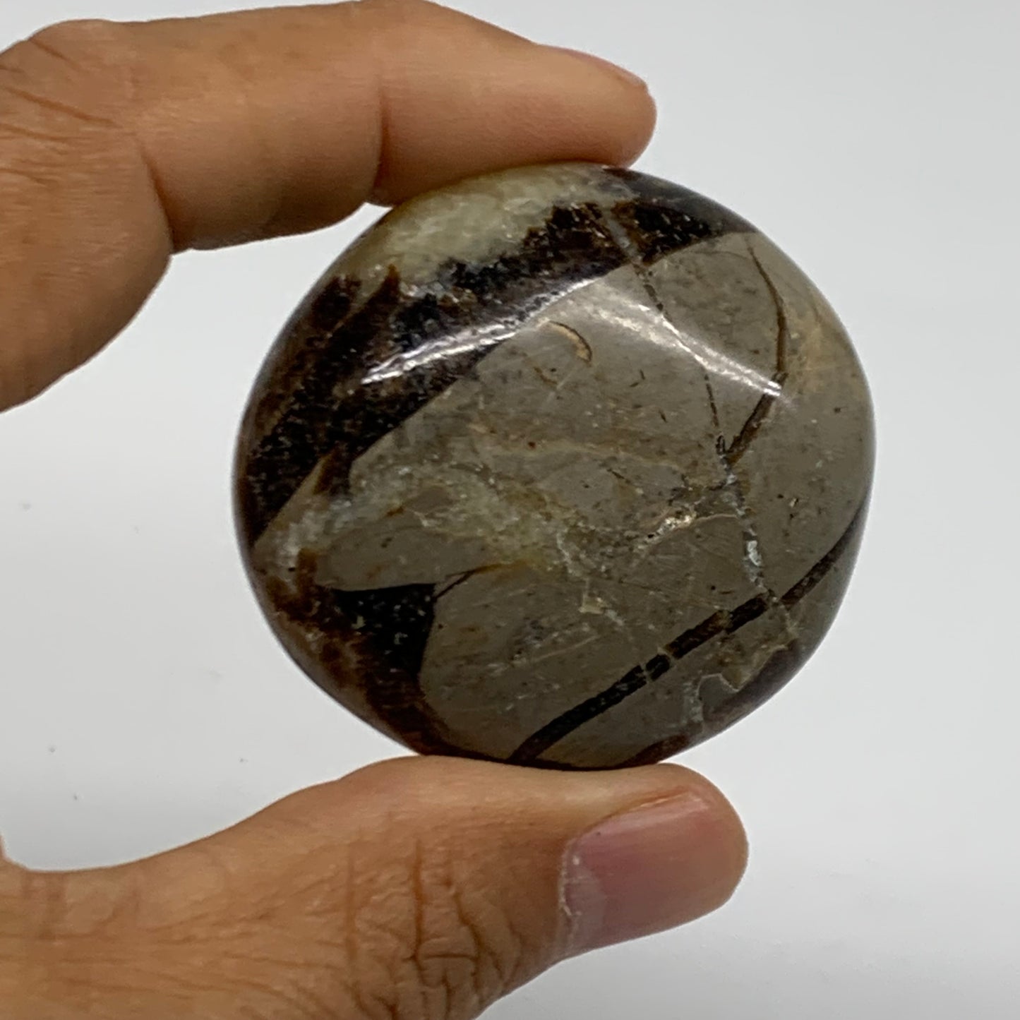 155.5g,1.8"-1.8", 2pcs, Septarian Nodule Palm-Stone Polished Crystal, B37962