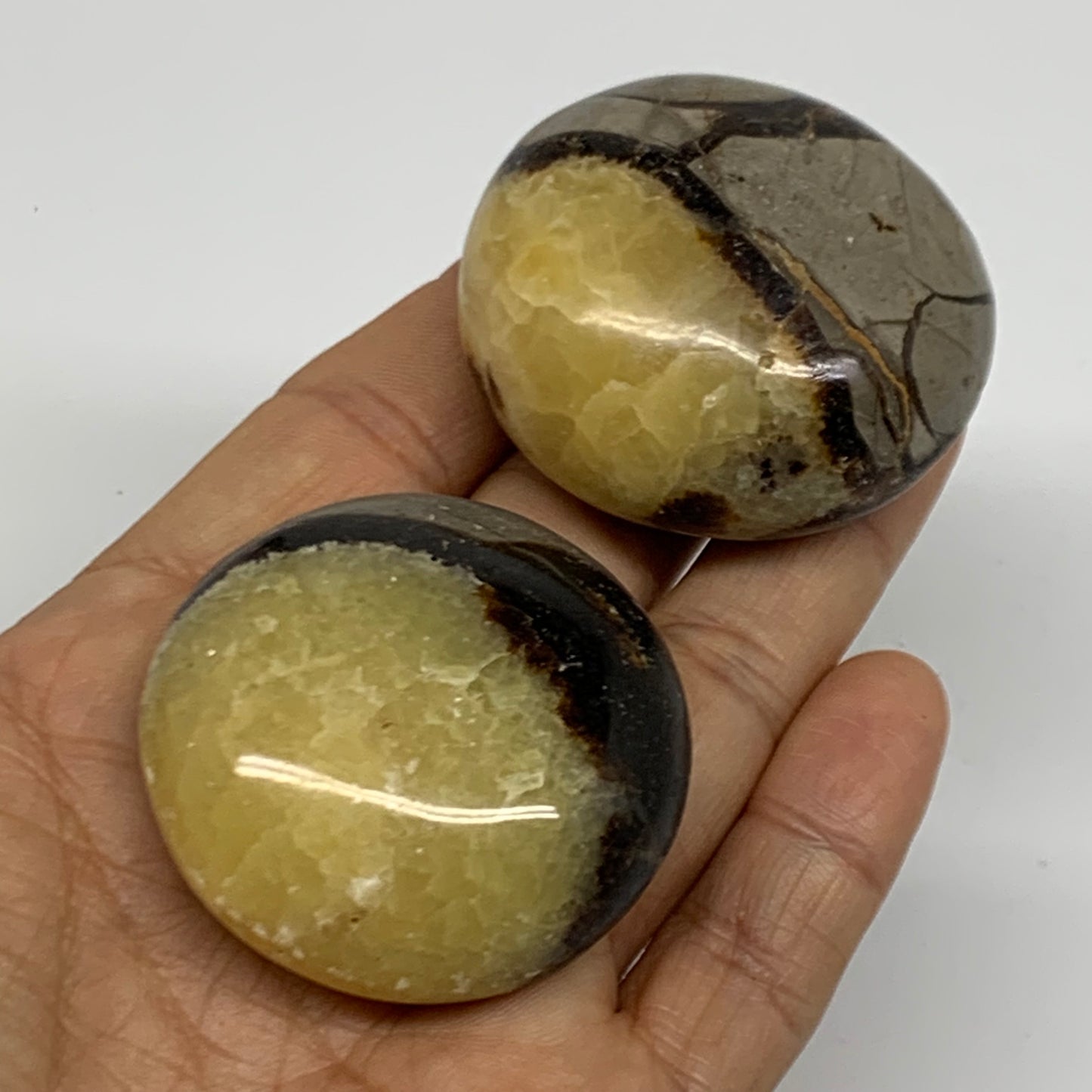 139.9g,1.8"-1.9", 2pcs, Septarian Nodule Palm-Stone Polished Crystal, B37963