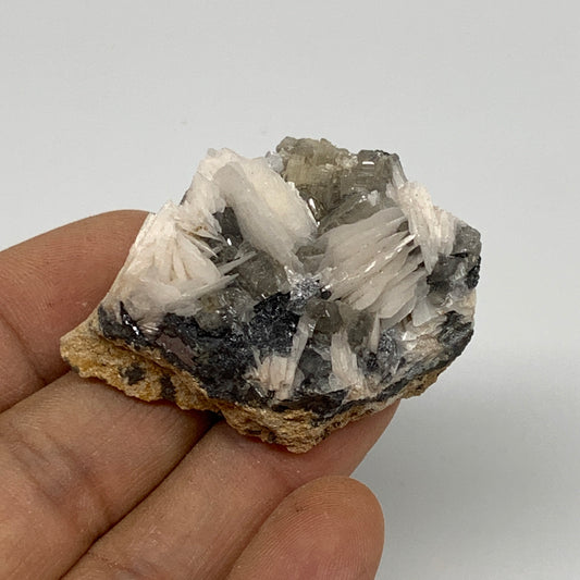 60g, 1.9"x1.4"x0.8", Cerussite Galena Quartz On Barite Mineral Specimen, B33498