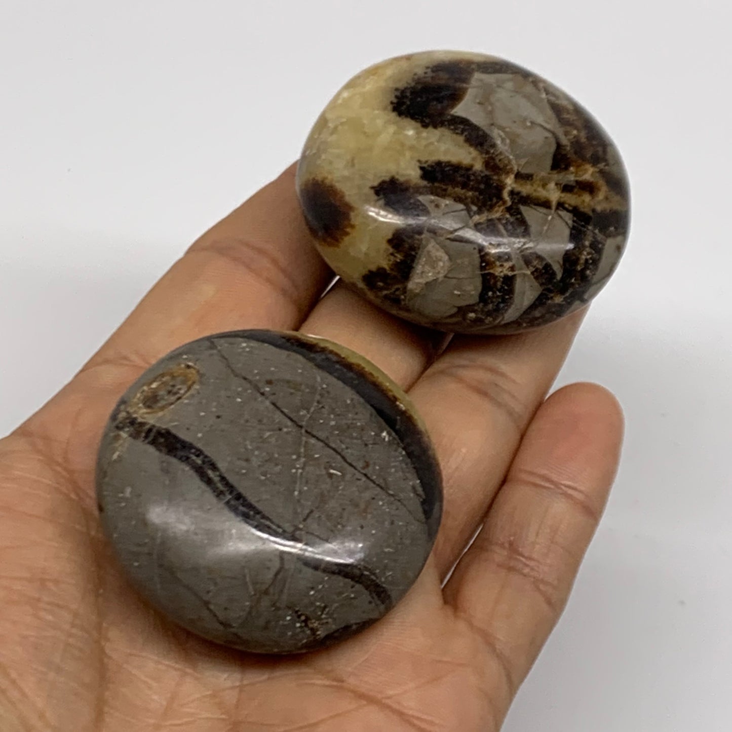139.9g,1.8"-1.9", 2pcs, Septarian Nodule Palm-Stone Polished Crystal, B37963