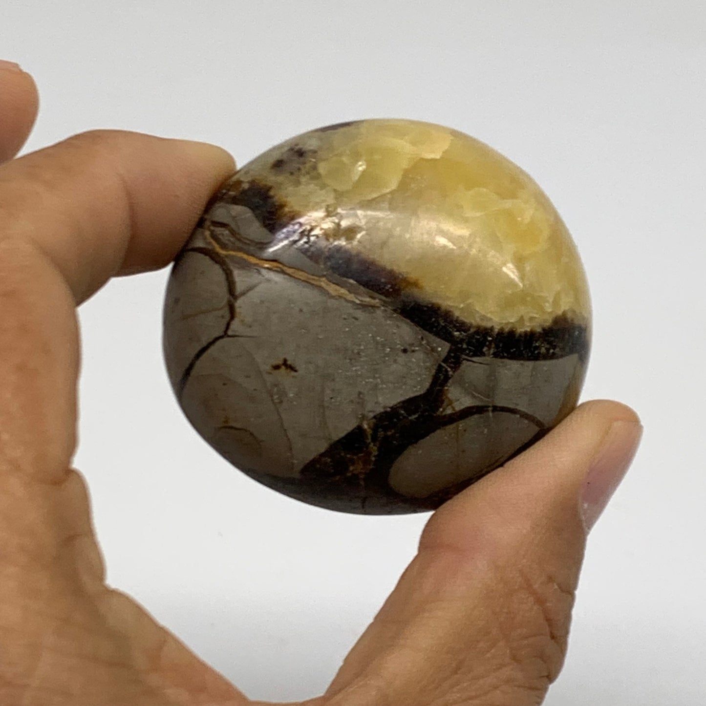 139.9g,1.8"-1.9", 2pcs, Septarian Nodule Palm-Stone Polished Crystal, B37963