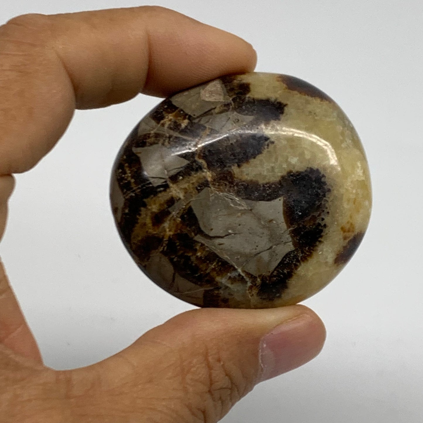 139.9g,1.8"-1.9", 2pcs, Septarian Nodule Palm-Stone Polished Crystal, B37963