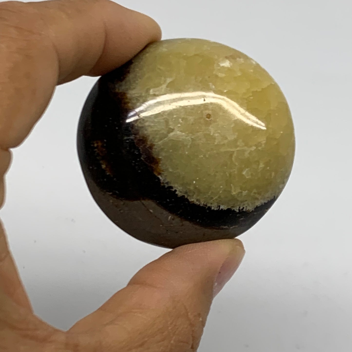139.9g,1.8"-1.9", 2pcs, Septarian Nodule Palm-Stone Polished Crystal, B37963