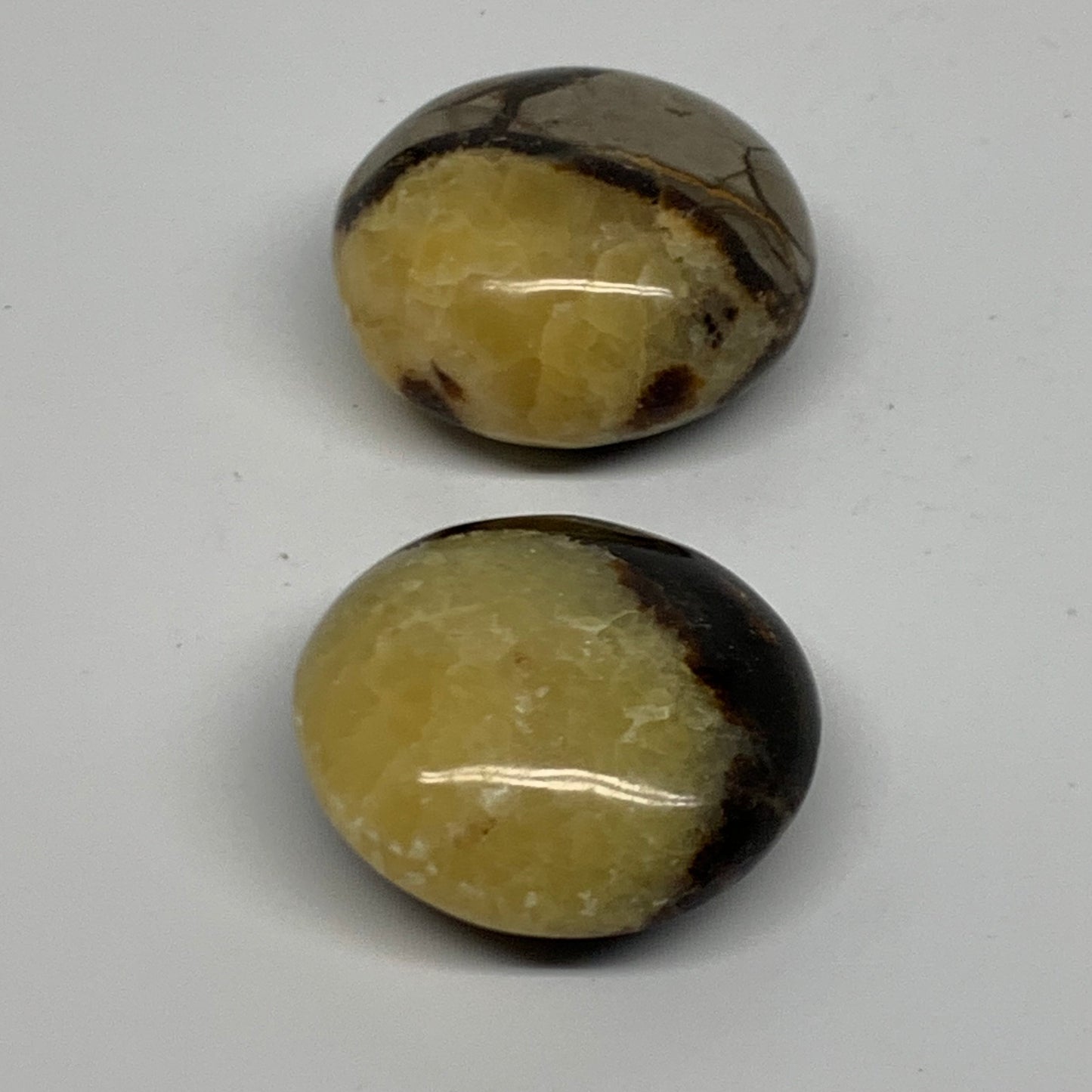 139.9g,1.8"-1.9", 2pcs, Septarian Nodule Palm-Stone Polished Crystal, B37963