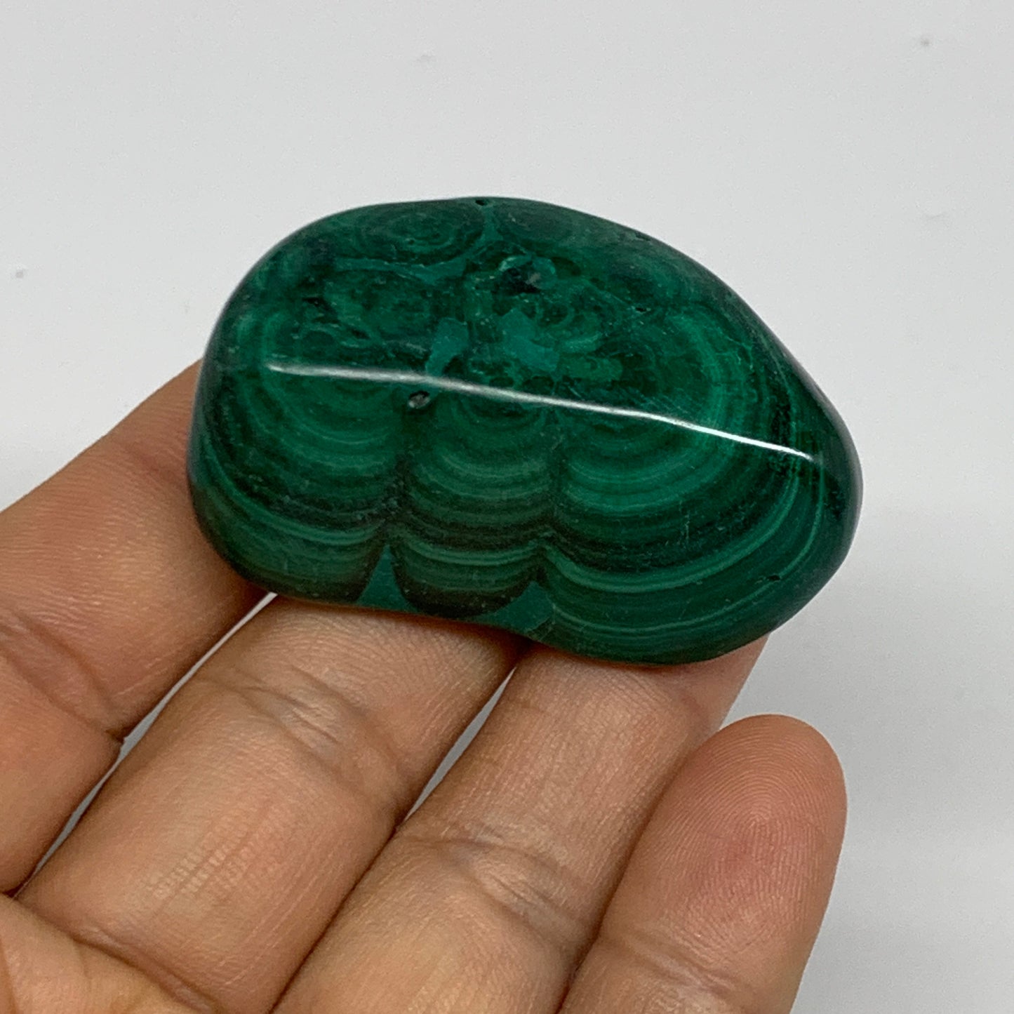 174.2g, 1.6"-1.9", 3pcs, Natural Small Malachite Tumbled Polished, B32830