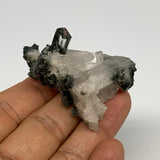 31.1g, 2"x1.3"x1.2", Chlorine Quartz Crystal Mineral,Specimen Terminated,B27674