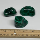 174.2g, 1.6"-1.9", 3pcs, Natural Small Malachite Tumbled Polished, B32830