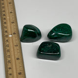 151.7g, 1.1"-1.5", 3pcs, Natural Small Malachite Tumbled Polished, B32831