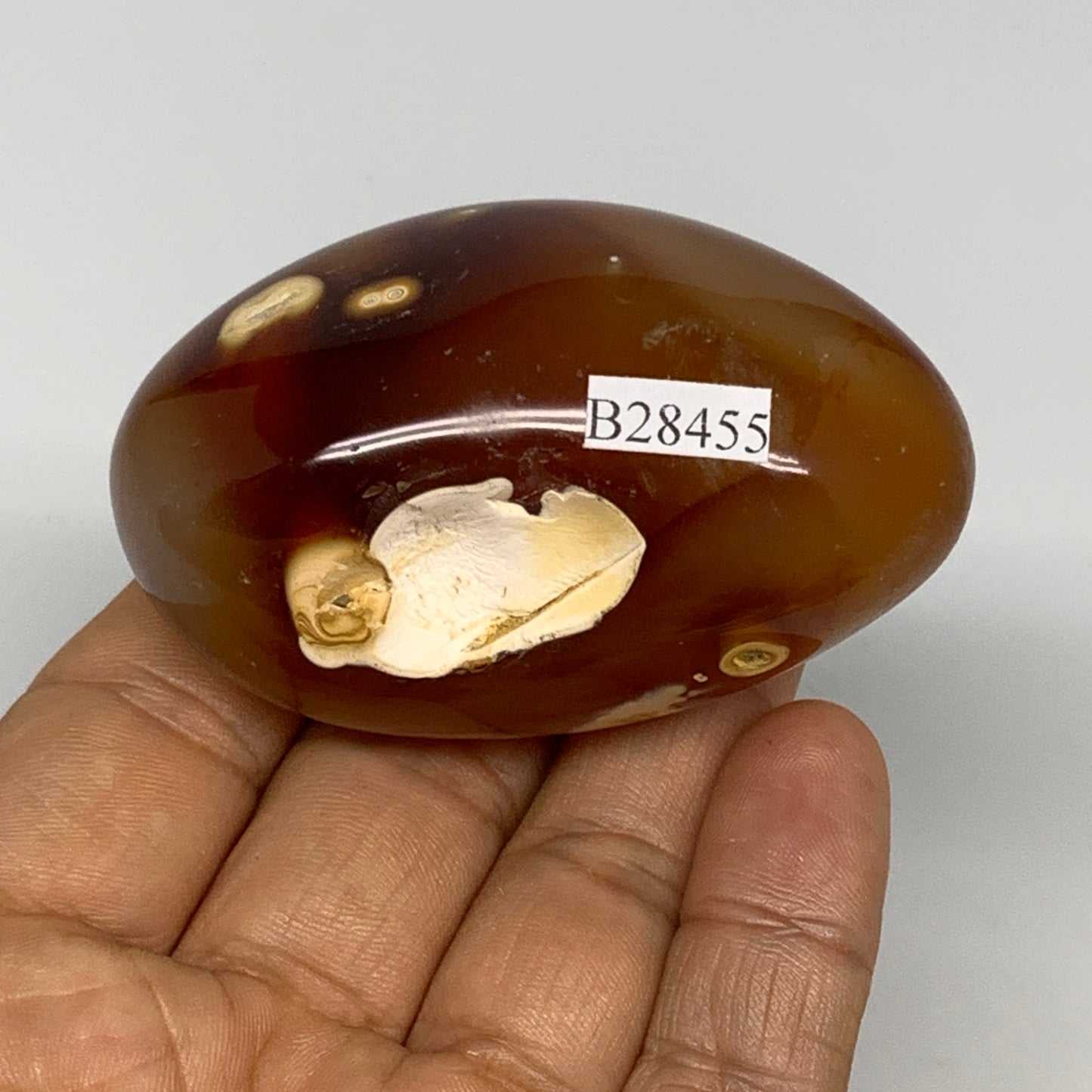 116.6g, 2.5"x1.6"x1.3", Red Carnelian Palm-Stone Gem Crystal Polished, B28455