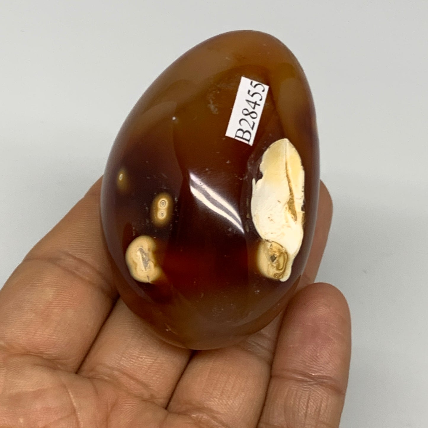 116.6g, 2.5"x1.6"x1.3", Red Carnelian Palm-Stone Gem Crystal Polished, B28455