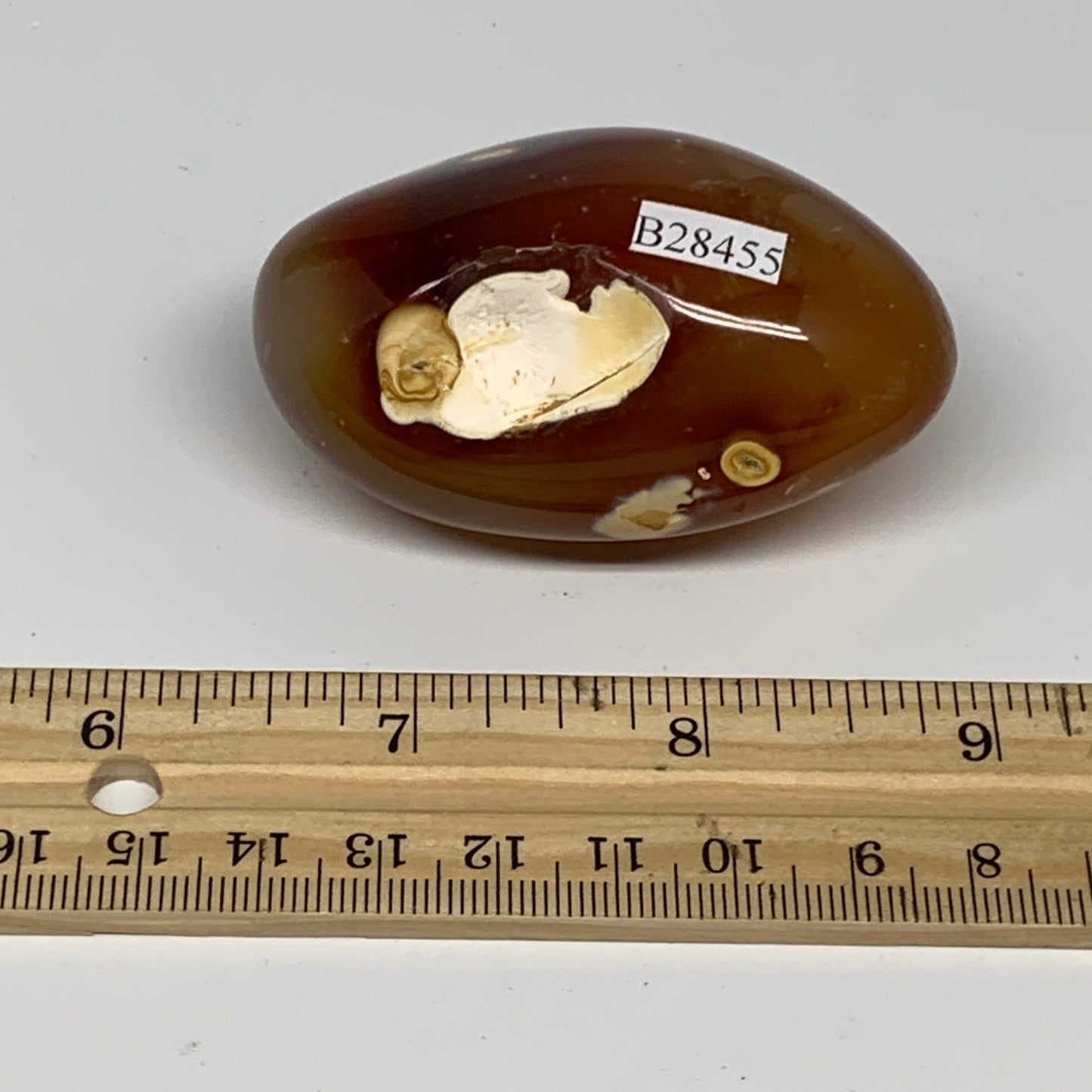 116.6g, 2.5"x1.6"x1.3", Red Carnelian Palm-Stone Gem Crystal Polished, B28455