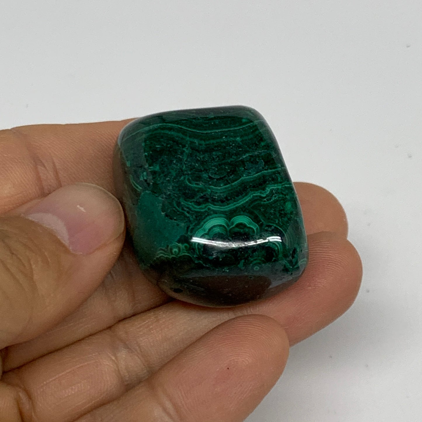 172.5g, 1.3"-1.7", 3pcs, Natural Small Malachite Tumbled Polished, B32835